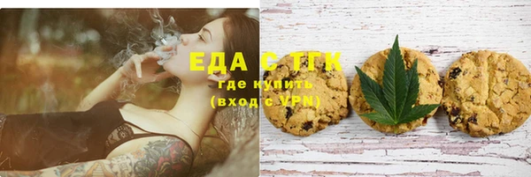 индика Медногорск