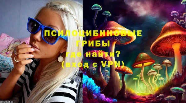 индика Медногорск