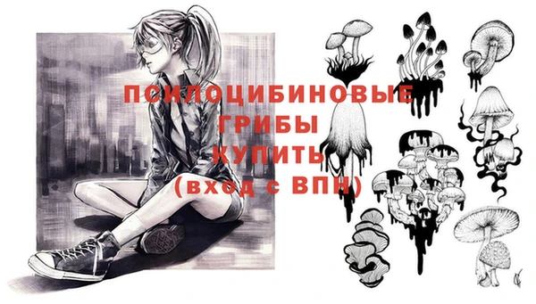 индика Медногорск