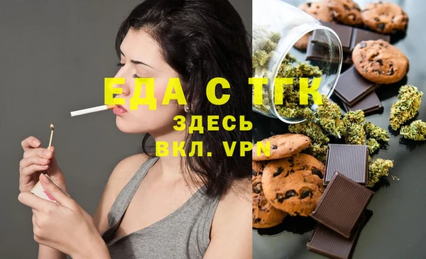 индика Медногорск