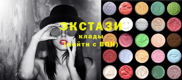 индика Медногорск