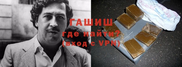 индика Медногорск