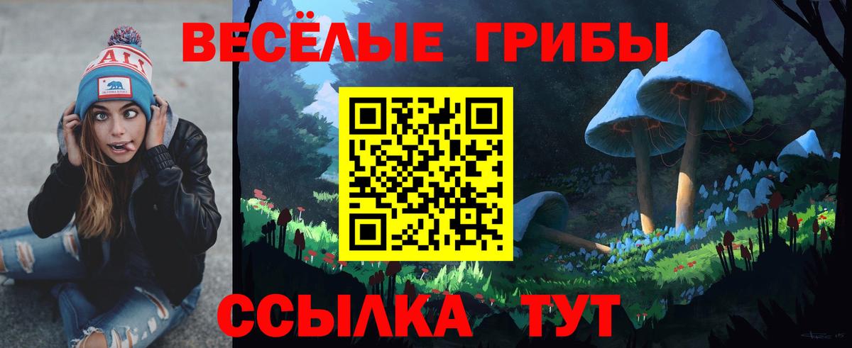 Магнитогорск  наркошоп  Псилоцибиновые грибы Psilocybine cubensis  Вход с VPN  Галлюциногенные грибы MAGIC MUSHROOMS 