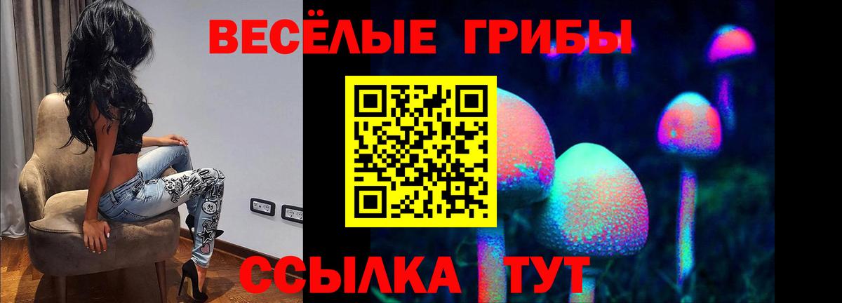 Галлюциногенные грибы Psilocybe Магнитогорск